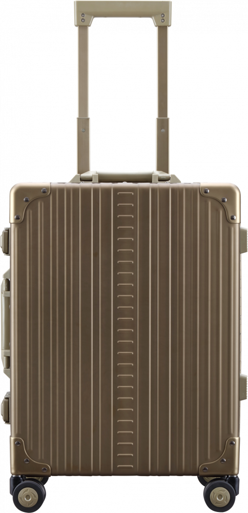 21" DOMESTIC CARRYON - BRONZE - Reisekoffer für stilbewusste Reisende
